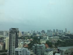 Park Infinia At Wee Nam (D11), Condominium #94873682
